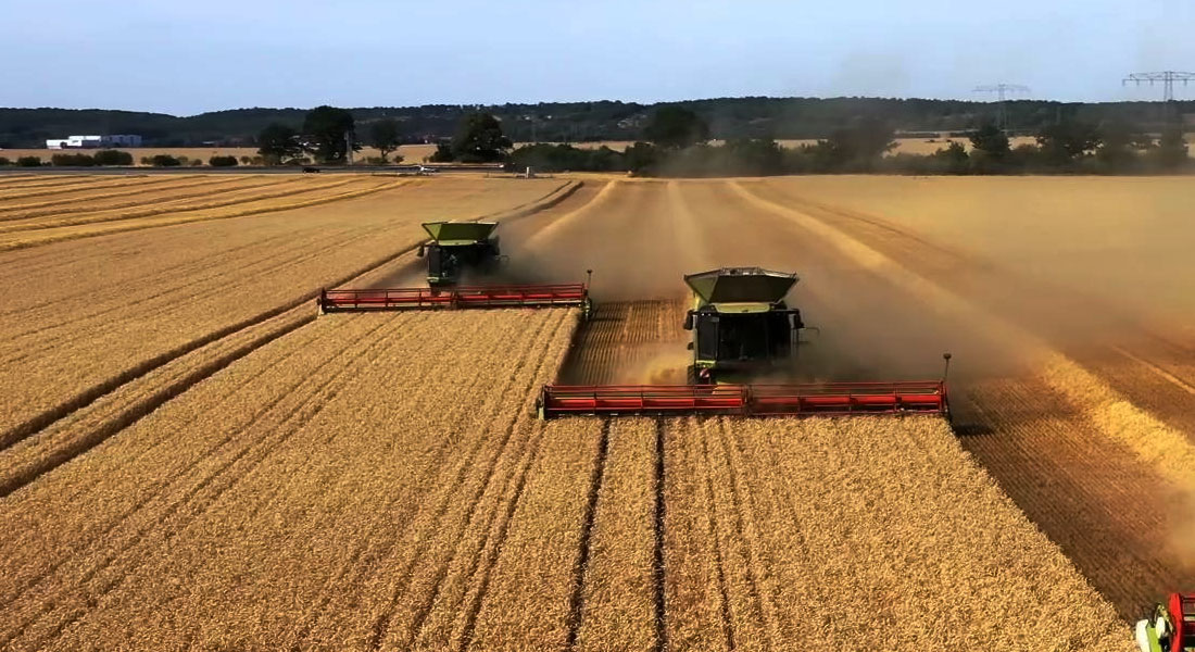 青岛久九耕耘刀