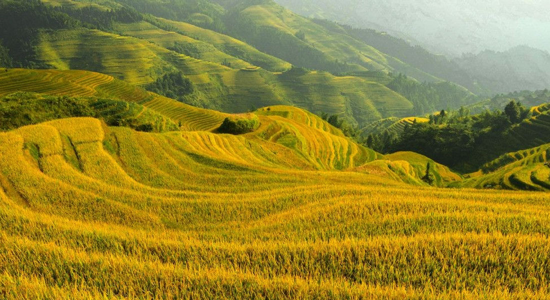 青岛久九耕耘刀