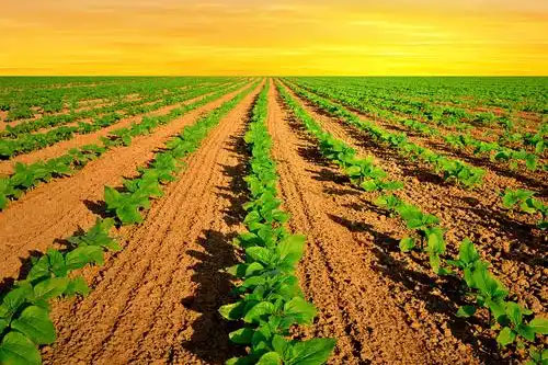 深松刀和旋耕刀的区别”