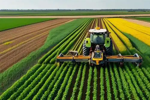 欧式旋耕机开垦刀和旋耕刀有什么区别