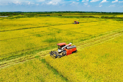 旋耕机刀片245 vs 265”